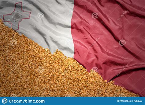 Wheat Grain On The Waving Colorful National Flag Of Malta Macro Shot