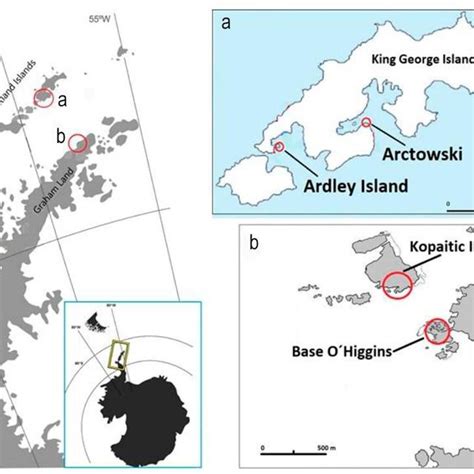 (a) Map of Antarctica with location of Seymour Island highlighted ...