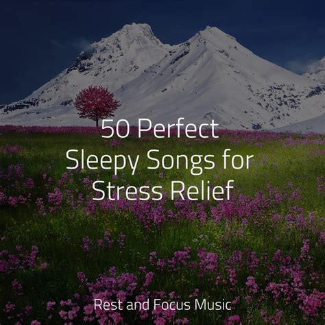 Perfect Sleepy Songs For Stress Relief Album By Zen Meditate Spotify