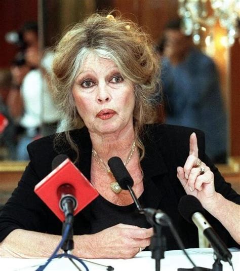 Brigitte Bardot Looks Unrecognizable At 89 — See Her Before And After ...