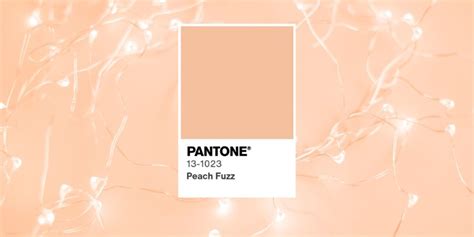 Peach Fuzz Pantone Boja Za 2024 Godinu