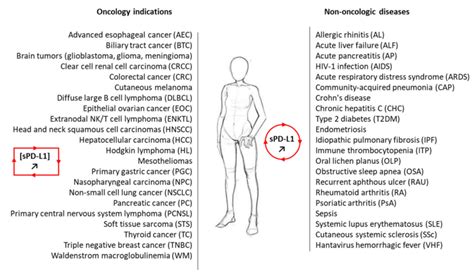 A Non Exhaustive List Of Malignant And Non Malignant Diseases For Which