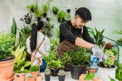 Peluang Bisnis Tanaman Hias Rumahan Yang Menguntungkan Tahun Ini