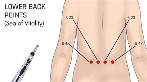 Acupressure Points For Back Pain - Quickly Reduce Back Pain - Complete ...