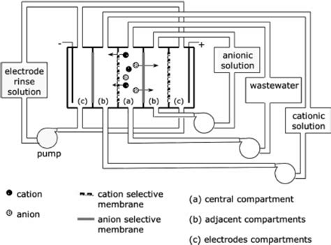 Five Compartment Laboratory Electrodialysis Cell Scheme Download