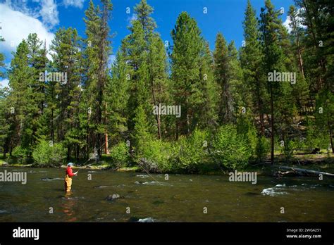 Flyfishing Malheur Wild And Scenic River Malheur National Forest