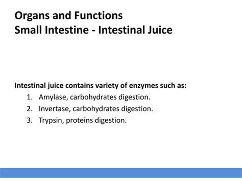 Avian Digestive System PPT