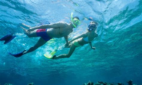 17 Best Snorkeling Tours In Aruba In 2024