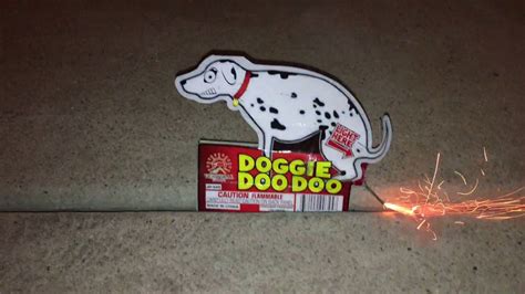 Pooping Dog Firework Youtube