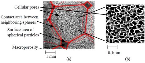 Classification Of Foam Structures