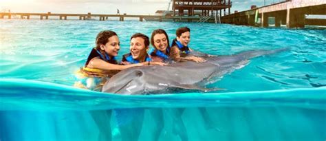 Dolphin Experience For Families Cozumel Tours