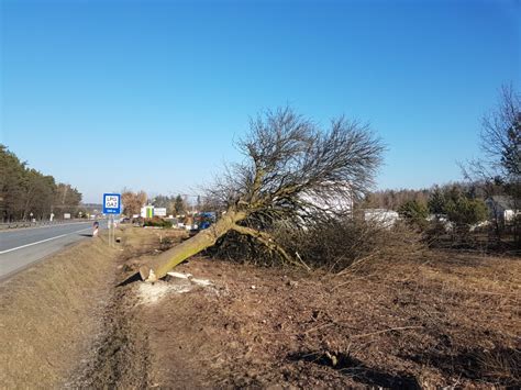 Ruszyły prace na budowie Puławskiej Bis PiasecznoNEWS