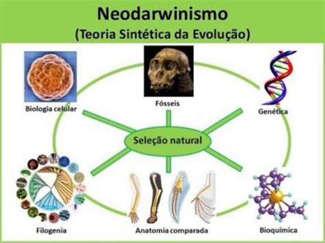 Teor A Sint Tica De La Evoluci N Un Resumen Completo Teor A Online