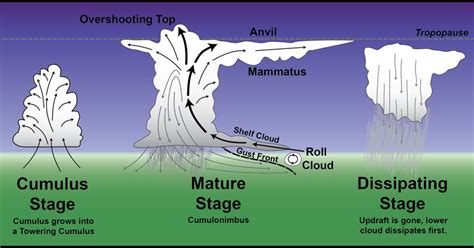 Steve Horstmeyer's - Inside The Forecast: Thunderstorm Primer - Part 1 ...