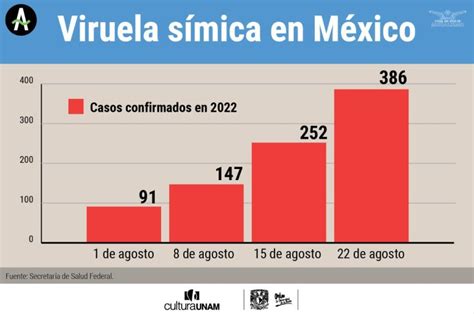 Viruela Símica En México Atención Insuficiente Y Estigma