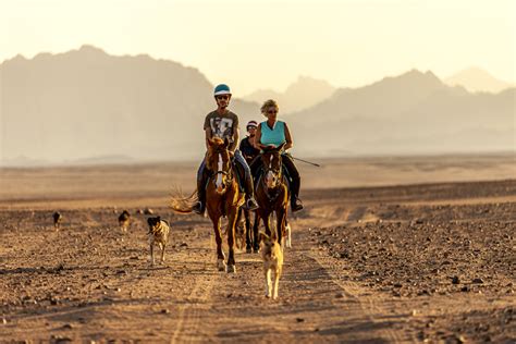 Horse Riding Holidays In Egypt Unicorn Trails Horse Riding Holidays