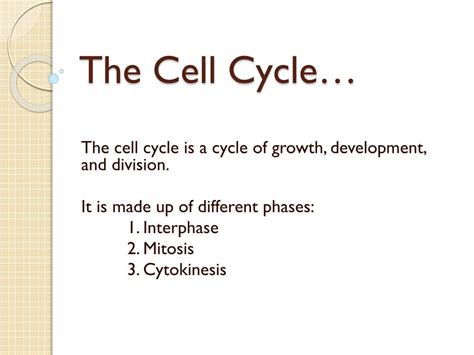 Ppt The Cell Cycle Powerpoint Presentation Free Download Id2619188