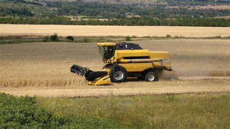 Russian Wheat Farmers Pray For Rain Amid Low Crop Yields