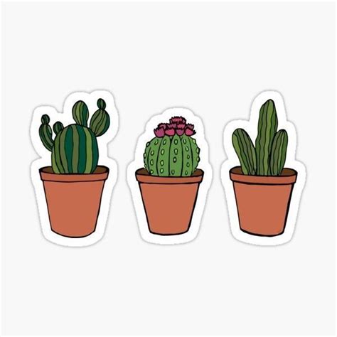 Three Potted Cacti Sticker