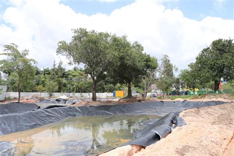 NETV Jardins Filtrantes Plano Recife 500 Anos