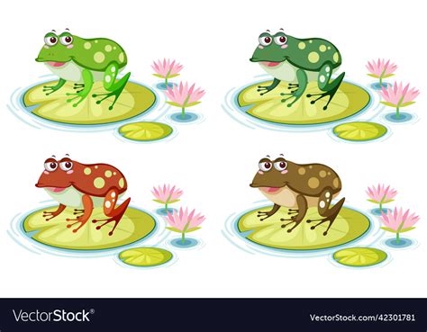 Cute Frog On Lily Pad On White Background Vector Image