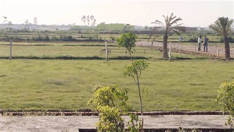 100 Sq Yards Residential Plot For Sale In Tappal Aligarh Rei1036761