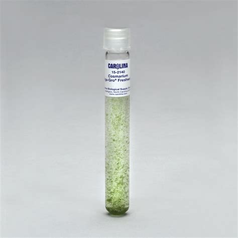 Cosmarium, Living | Carolina Biological Supply