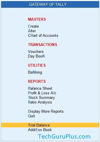 How To Make Trial Balance In T Format Tdl Code For Tally Prime