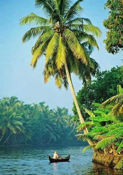 Good Morning Keralaindia Kerala Gods Own Country Kerala