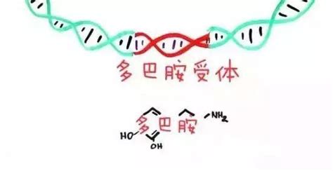 你能判断自己每天吃饭，是生理上饿了还是心理上馋了吗？