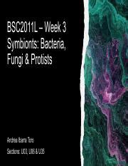 BSC2011L Week 3 Symbionts Bacteria Fungi Protists Pptx Pdf