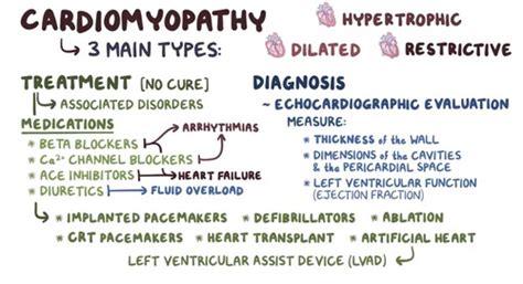 Cardiology Flashcards Quizlet