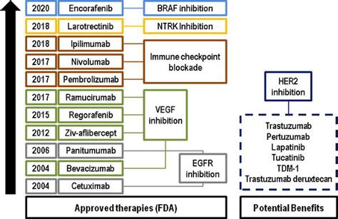 Landscape Of Current Targeted Therapies For Advanced Colorectal Cancer