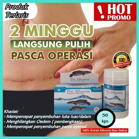 Jual Kapsul Ikan Gabus Pro Albumin Asli Original Obat Tipus Paling