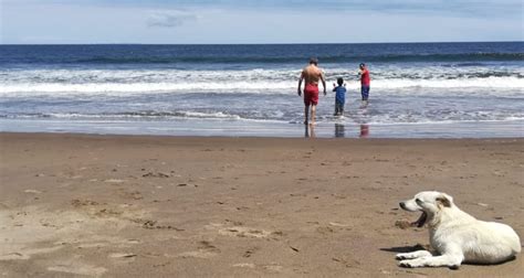 Lanzan aplicación para conocer playas seguras y aptas para el baño en