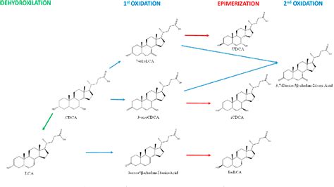 Figure 1 From Production Of New Microbially Conjugated Bile Acids By