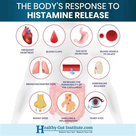 Is a Histamine Issue Holding you Back? Learn to spot Histamine Rich ...