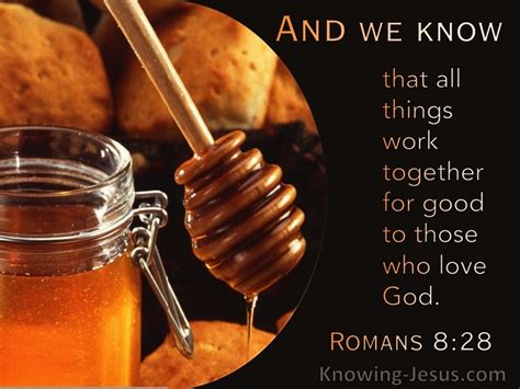 Romans 8 28 And We Know That God Causes All Things To Work Together For