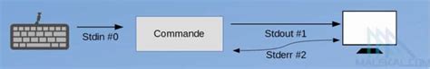 Comment utiliser les redirections d entrée sortie et pipe de Linux