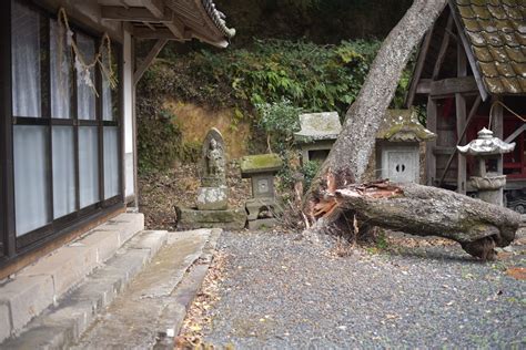 日吉神社の境内にまつられる二基の庚申塔（12） 大分県国東市国見町大熊毛 日々の”楽しい”をみつけるブログ