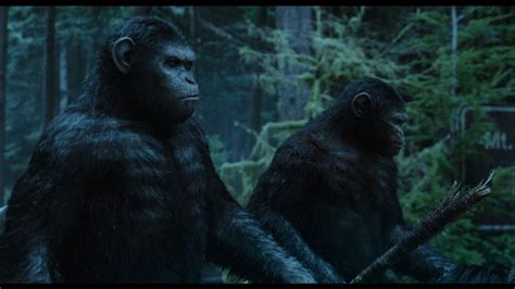 Planet Of The Apes Koba Wallpaper