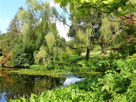 Fotos Gratis Rbol Agua Naturaleza Bosque Al Aire Libre