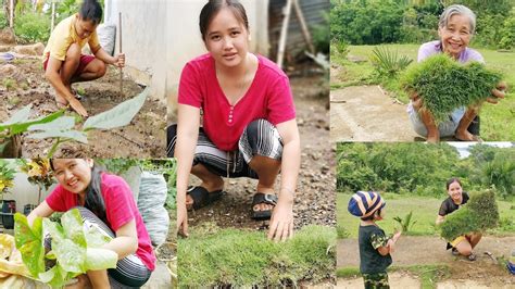 Nagtanim Kami Ng Bermuda Grass Sa Tapat Ng Bahay Youtube