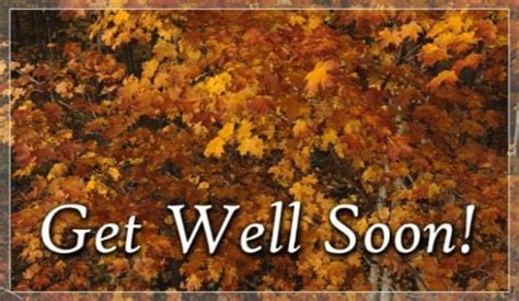 Free Get Well Soon Ecard Email Free Personalized Get Well Cards Online