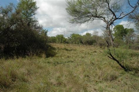 The Gran Chaco: A Blend of Biodiversity and Challenges | LAC Geo