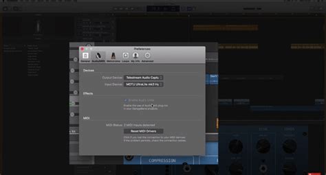 How To Change Pitch In GarageBand On IPad IPhone Mac