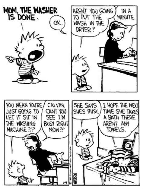 Pin By Guillaume Munck On Calvin And Hobbes Calvin And Hobbes Calvin