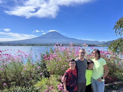 Mt Fuji Storied Pagoda With Wagasa Japanese Parasol Flowers Lake