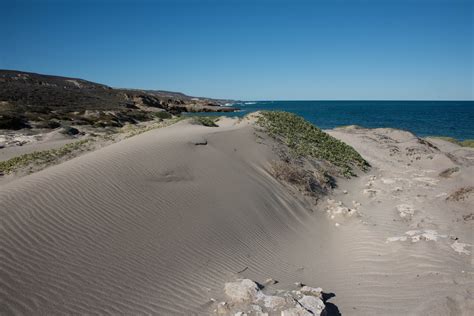 The Channel Islands of California — Channel Islands Restoration