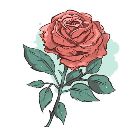 Rosa Sencilla Vector Png Dibujos Pegatina Clipart Rosa Rosa En Una